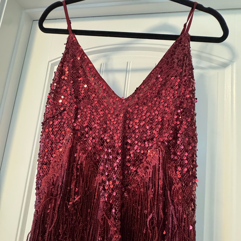Sequin Fringe Dress